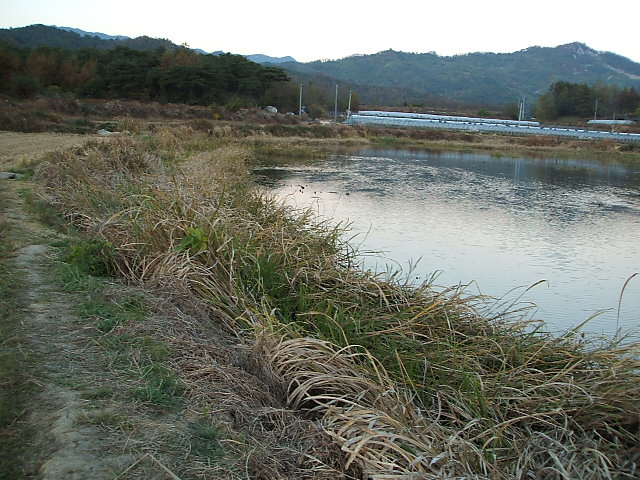 DSCF1144.JPG