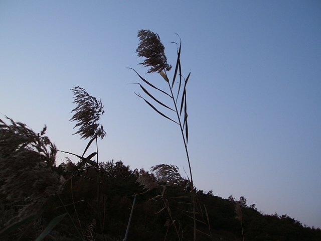 DSCF1159.JPG