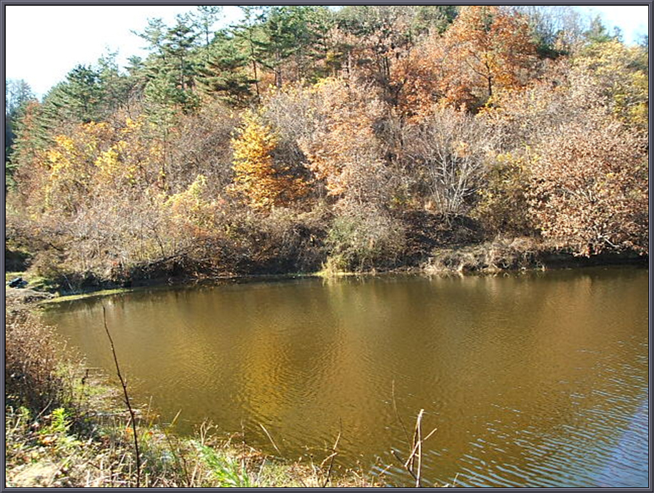 DSCF1215.jpg