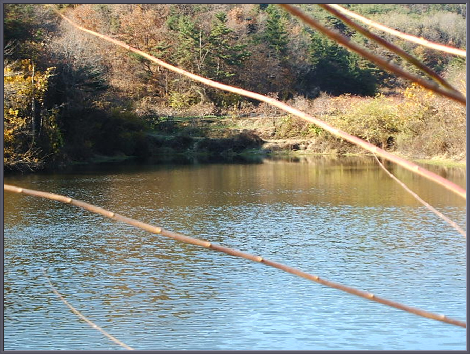 DSCF1217.jpg