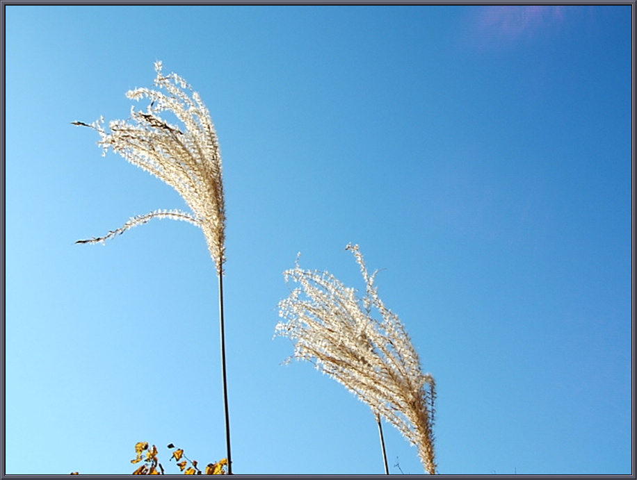DSCF1221.jpg