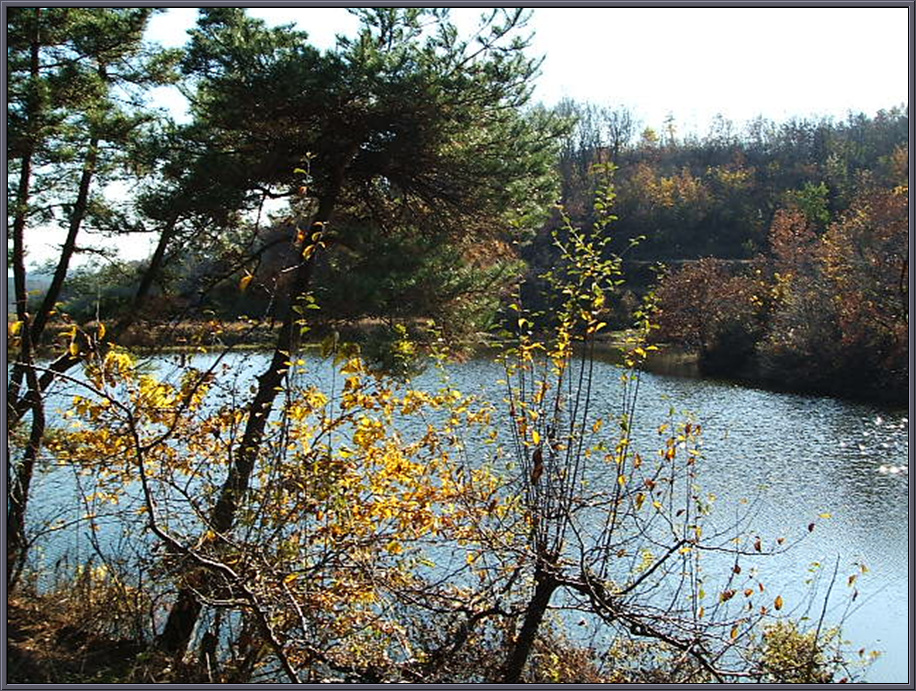 DSCF1225.jpg