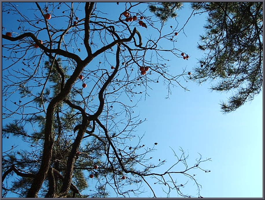 DSCF1227.jpg