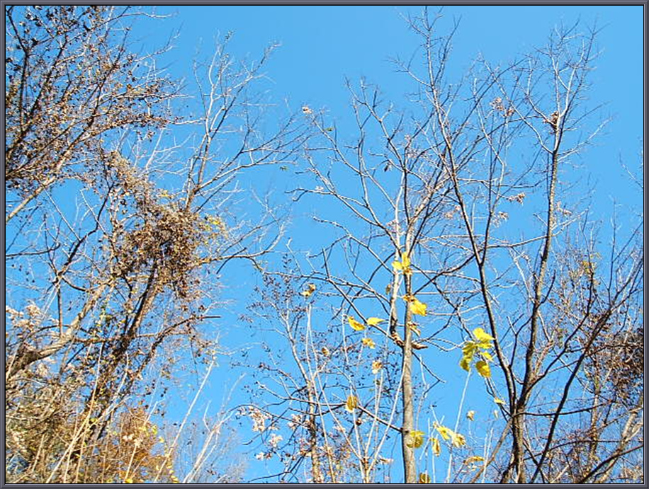 DSCF1228.jpg