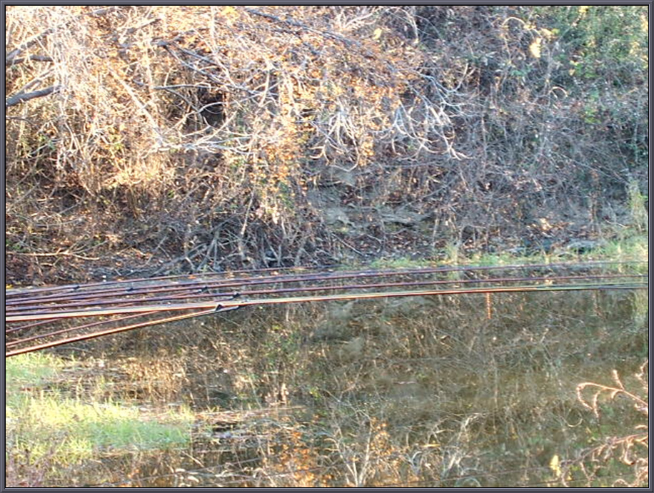DSCF1233.jpg
