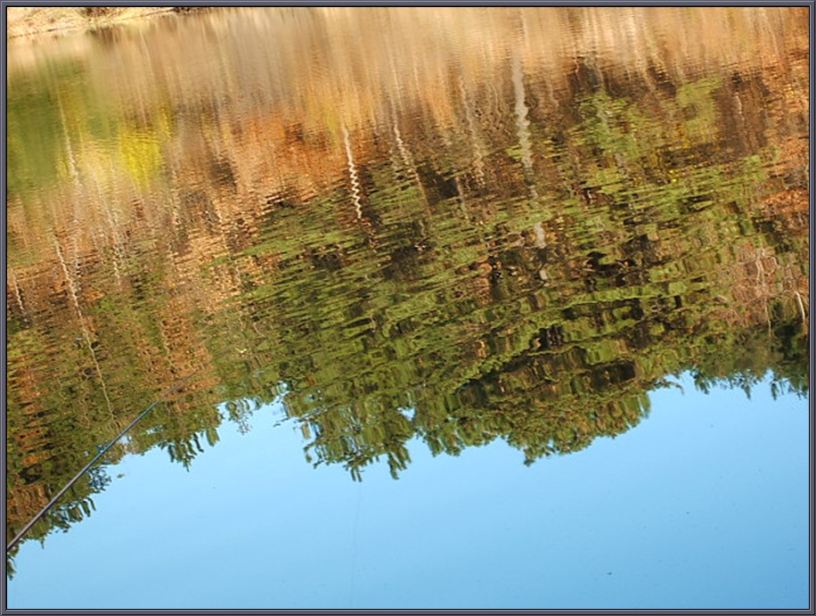 DSCF1235.jpg