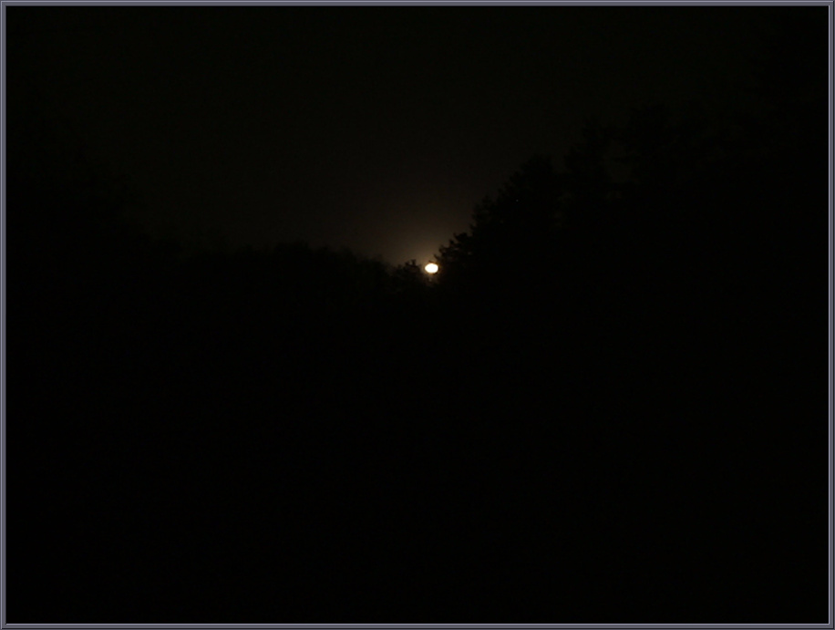 DSCF1238.jpg