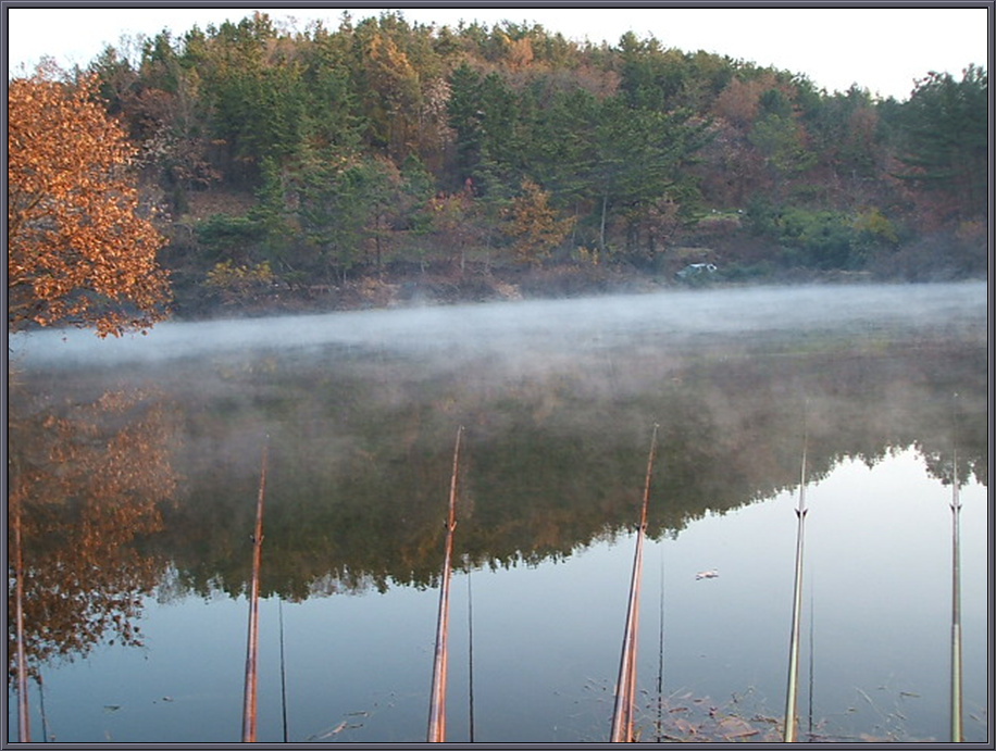DSCF1246.jpg
