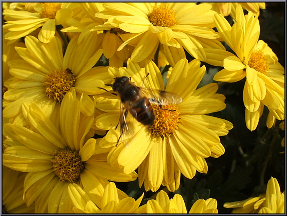 DSCF1254.jpg