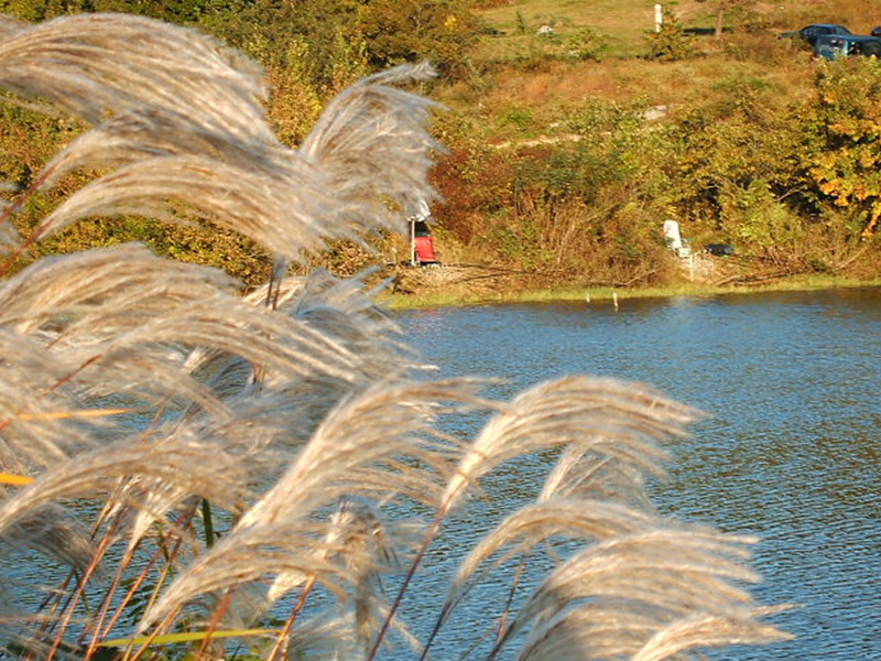 gaegol-5.jpg