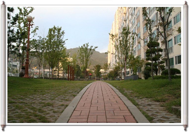 ALSeeEdit_IMG_0038.jpg