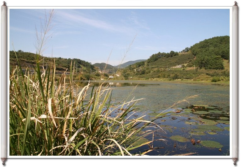 ALSeeEdit_IMG_0087.jpg