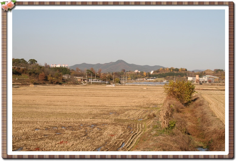 ALSeeEdit_IMG_0233.jpg
