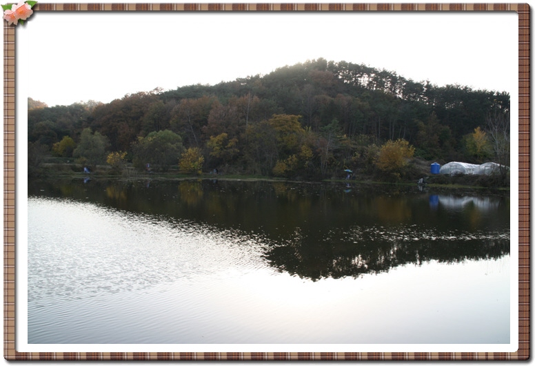 ALSeeEdit_IMG_0258.jpg
