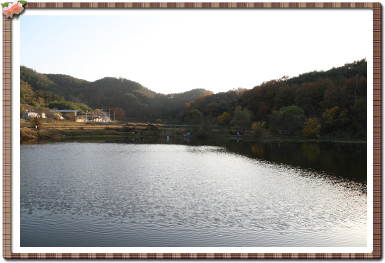 ALSeeEdit_IMG_0261.jpg
