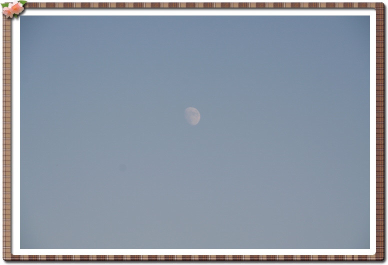 ALSeeEdit_IMG_0272.jpg