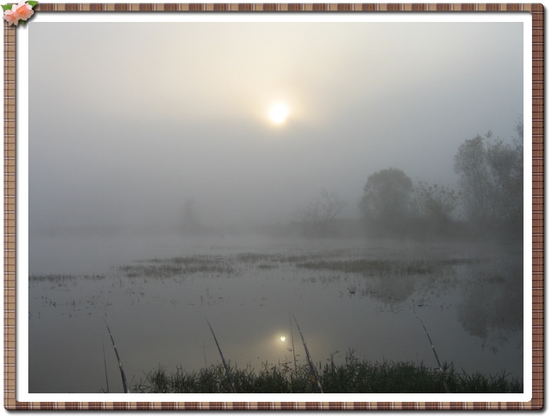 ALSeeEdit_IMG_4481.jpg