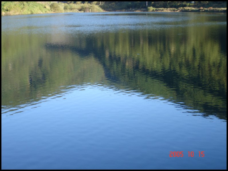 DSC02087.JPG