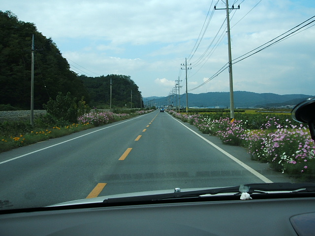 DSCF0517.JPG