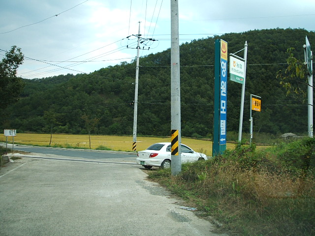 DSCF0530.JPG