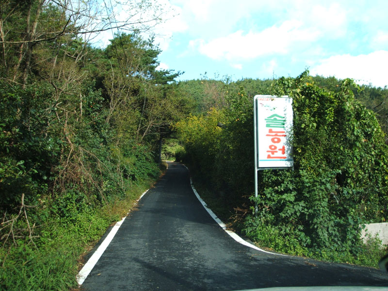 DSCF0602.jpg