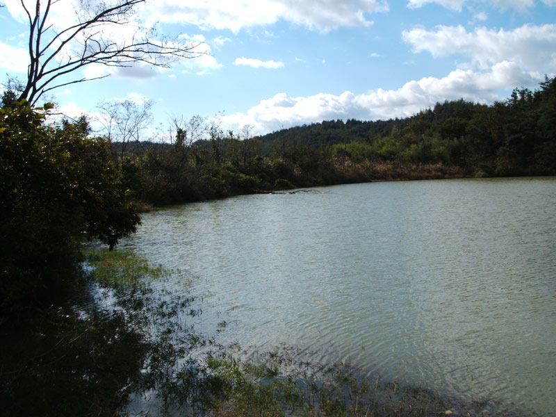 DSCF0603.jpg