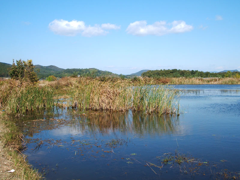 DSCF0618.jpg