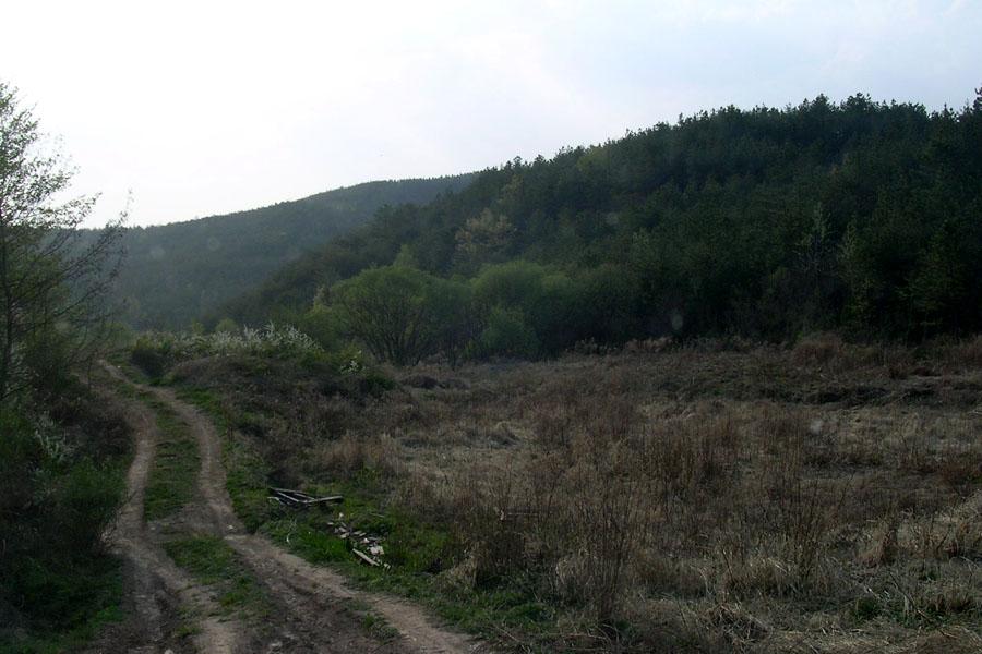 44.jpg