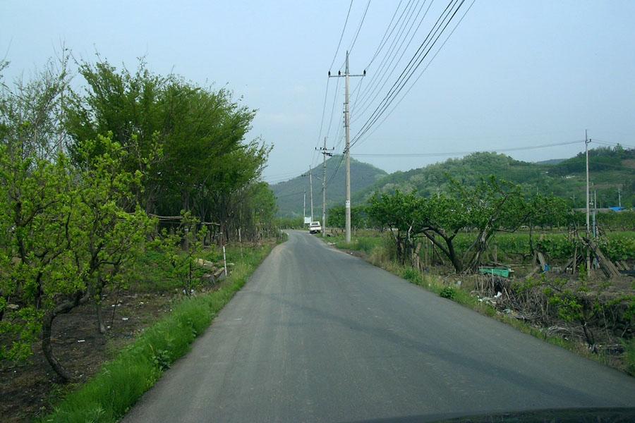CC52.jpg