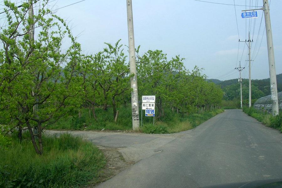 CC53.jpg