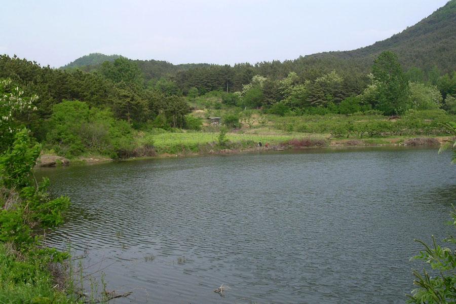 CC57.jpg