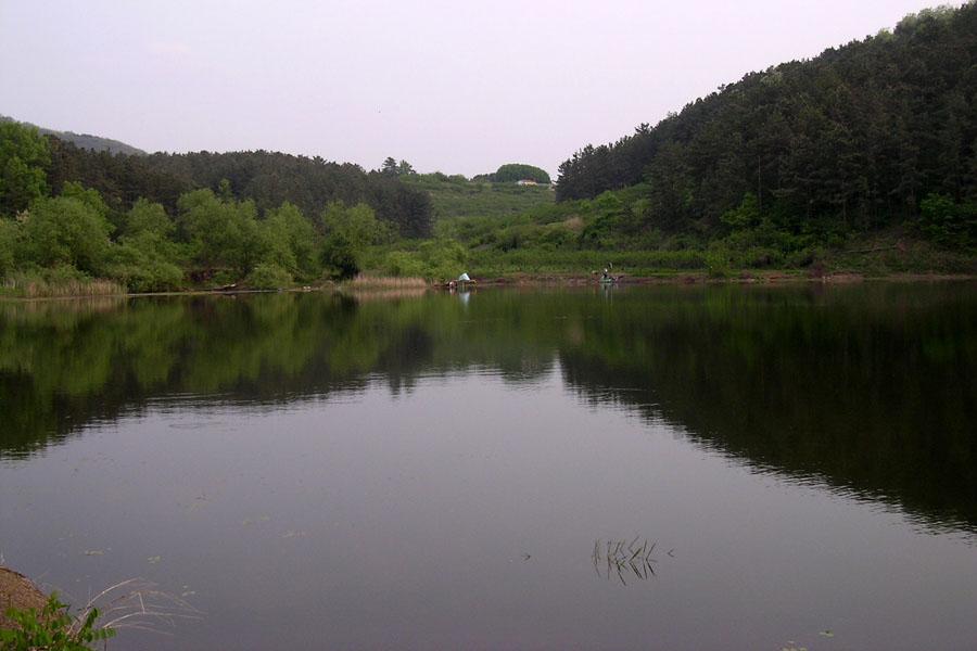 CC71.jpg
