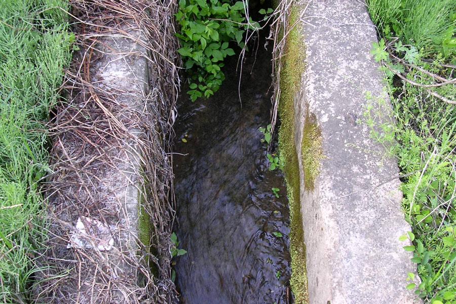 CC83.jpg