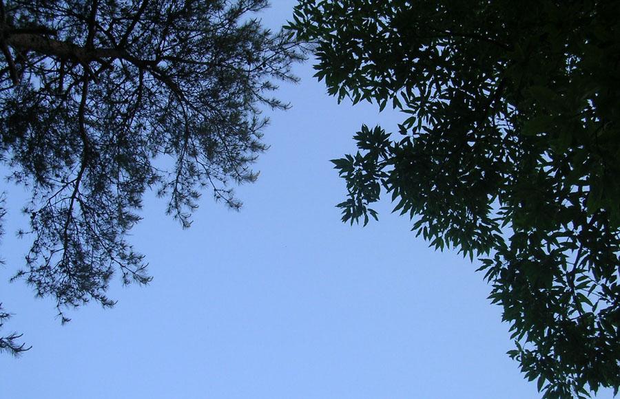 a232.jpg