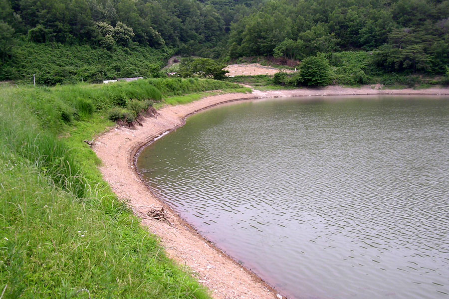 e44.jpg