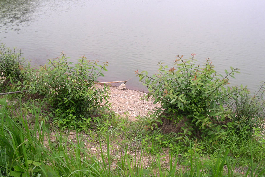 e48.jpg