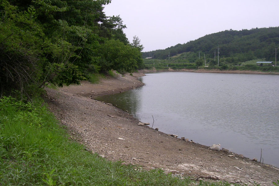 e49.jpg