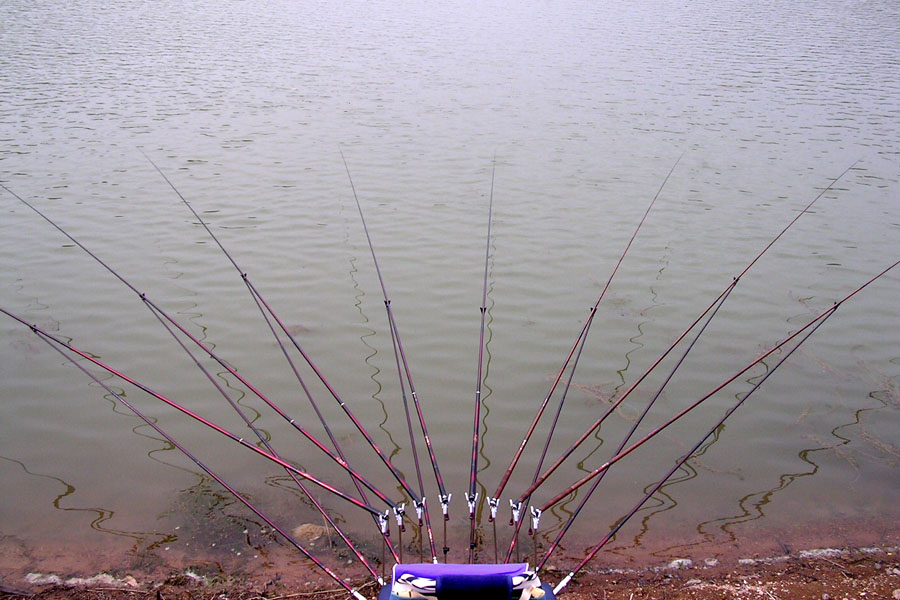 e52.jpg