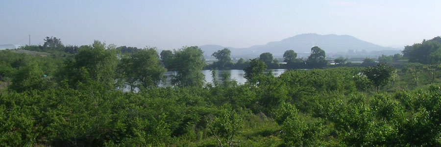 e77.jpg
