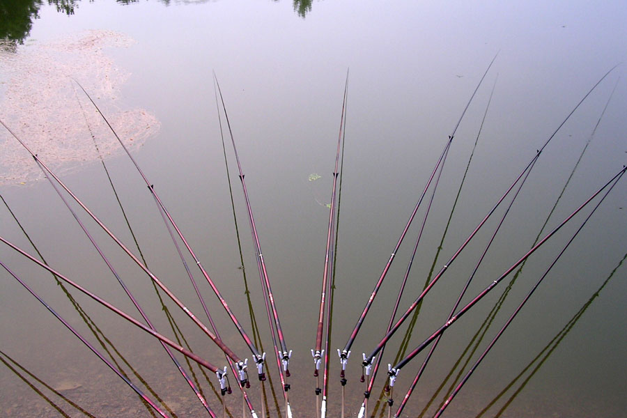 d70.jpg