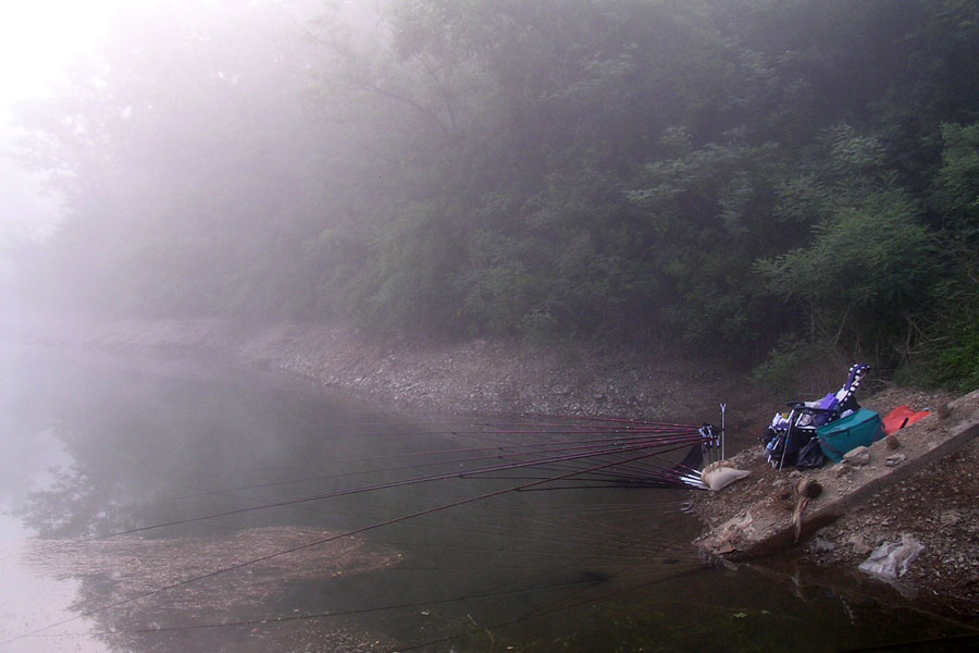 d79.jpg