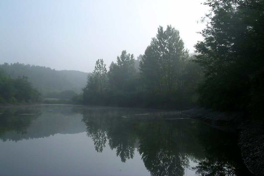 d84.jpg