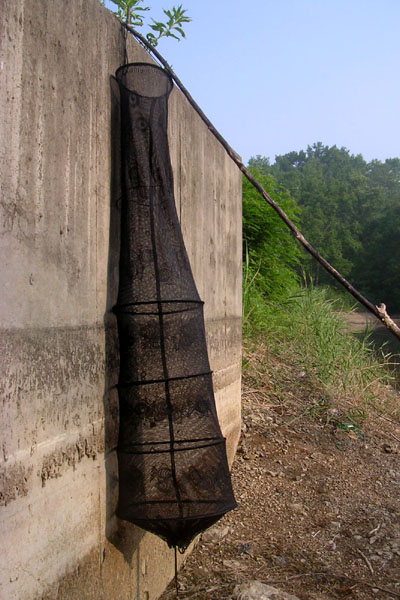 d85.jpg