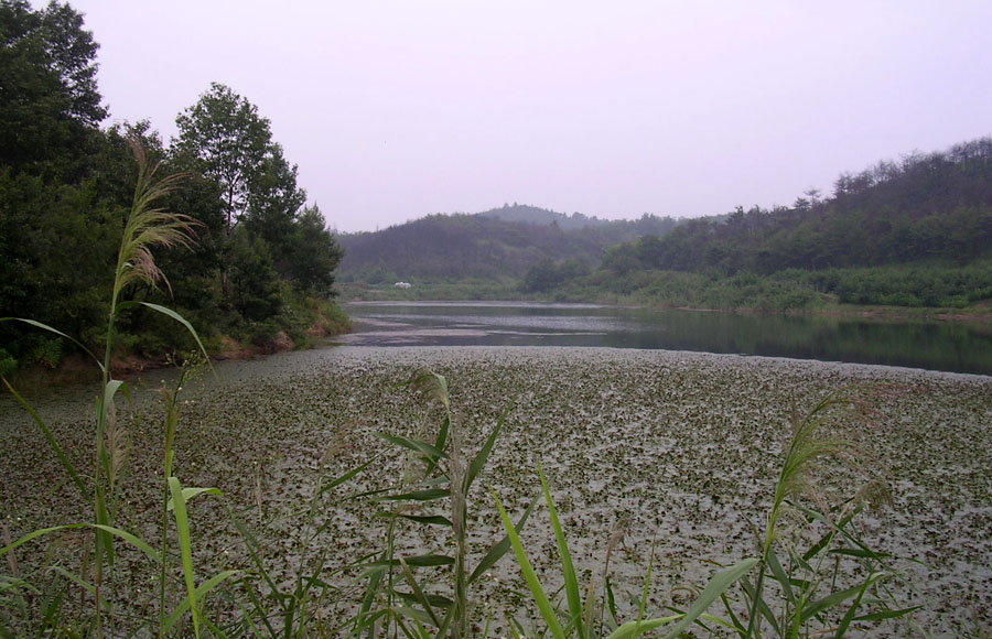 b02.jpg