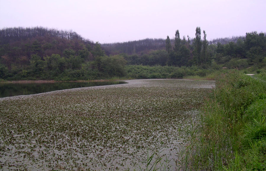 b03.jpg
