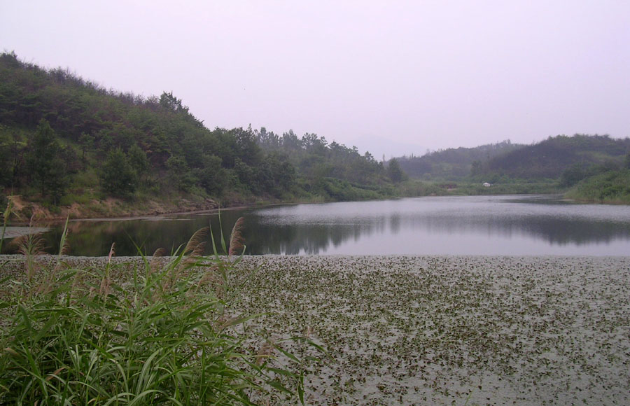 b04.jpg