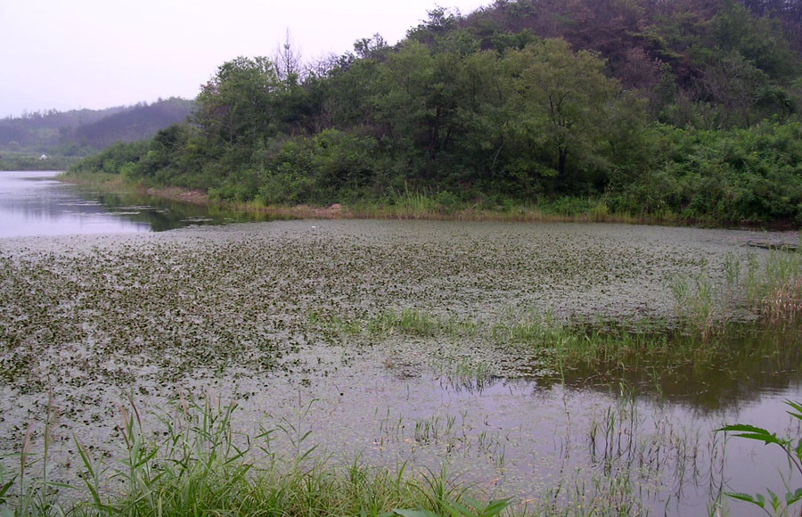 b05.jpg