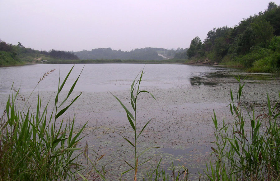 b07.jpg