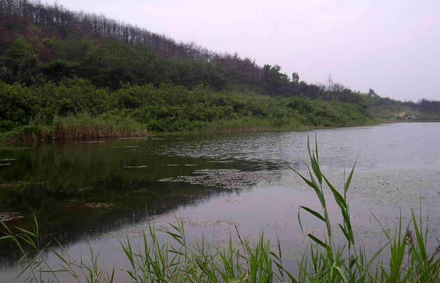 b08.jpg