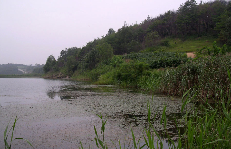 b09.jpg